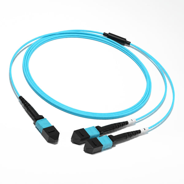 MPO-12 to 2 x MPO-4 8F OM4 Harness Cable - product view