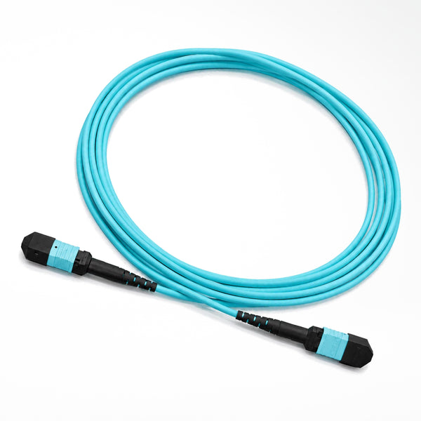 MPO-12 OM4 Fiber Patch Cable - product view