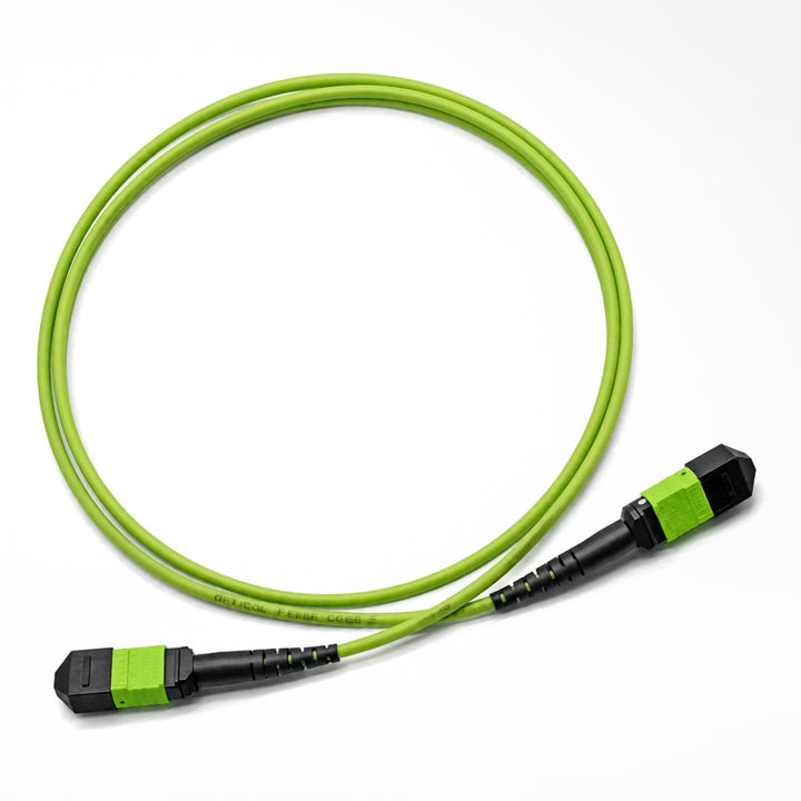 MPO-12 OM5 Fiber Patch Cable - product view