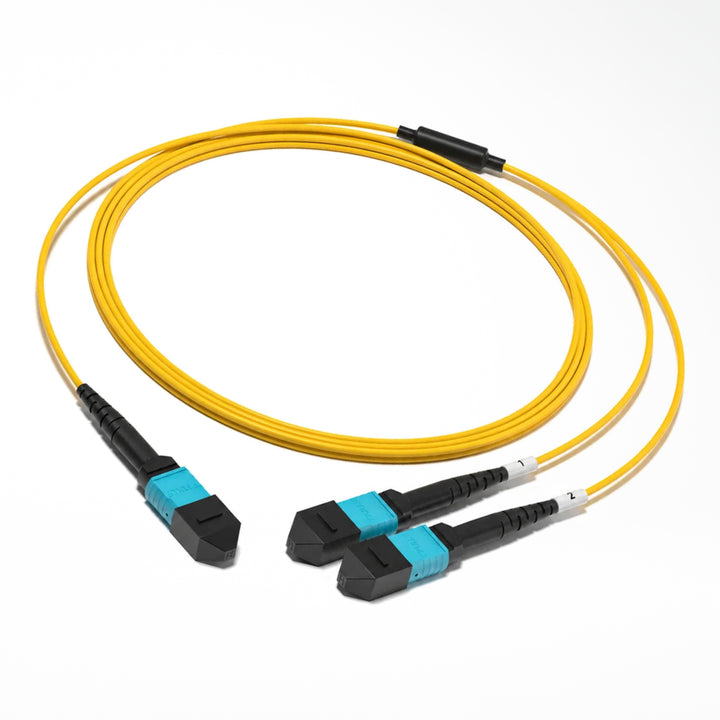 MPO-12 to 2 x MPO-4 8F OS2 G.657.A2 Harness Cable - product view