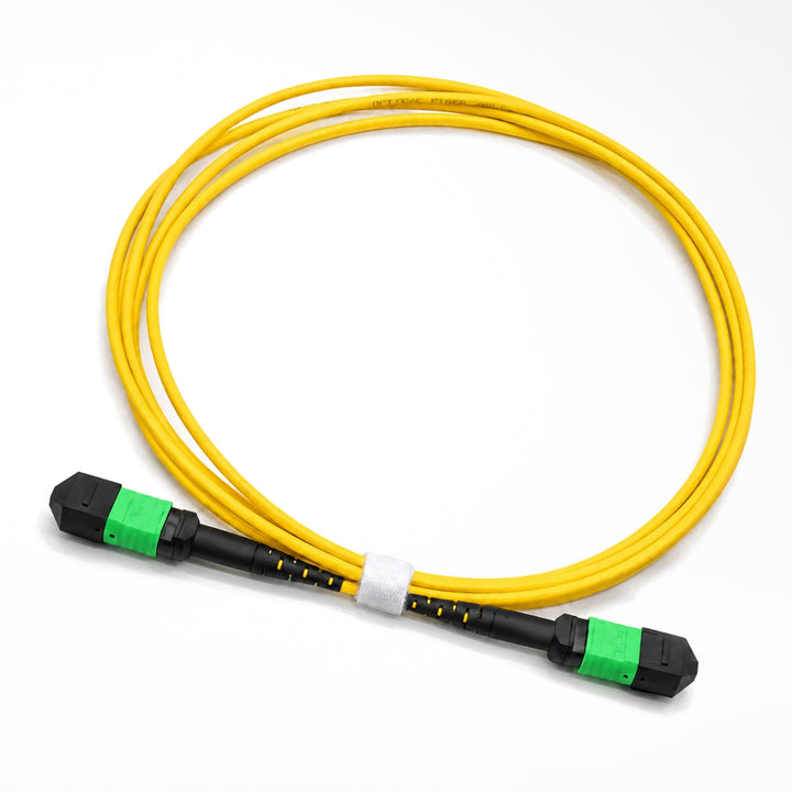 MPO-12 OS2 G.657.A1 Fiber Patch Cable - product view