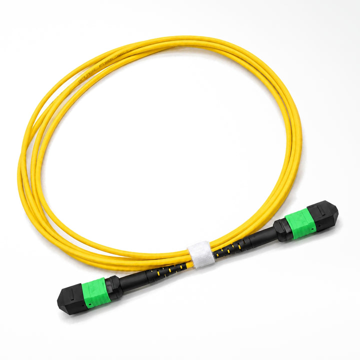 MPO-12 OS2 G.657.A2 Fiber Patch Cable - product view